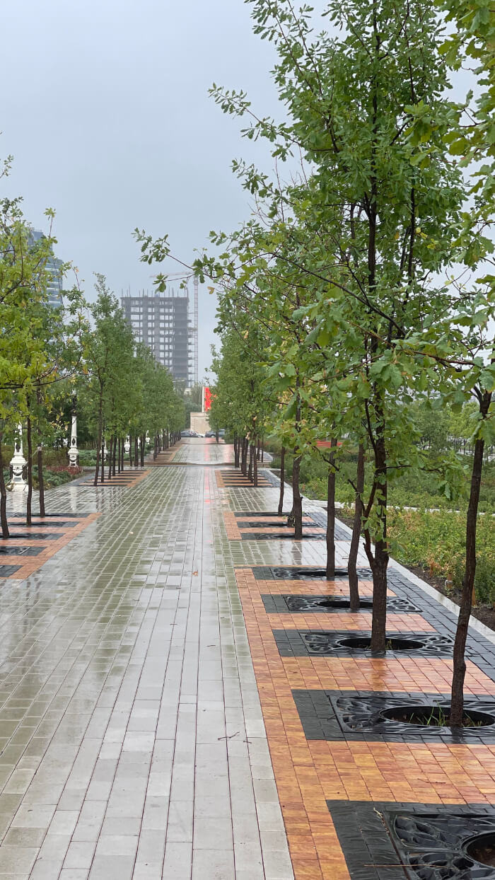 Приствольная решетка для дерева ZKING CRUST 1.2х1.2м Черная в Пскове фото