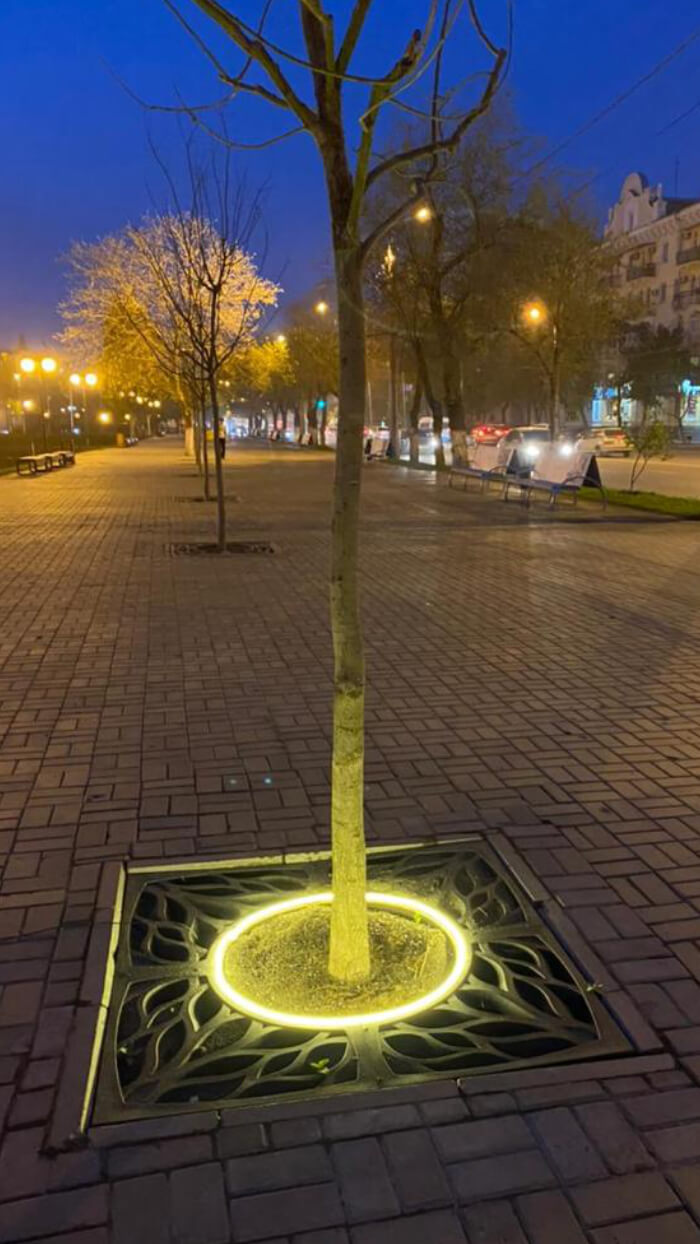 Приствольная решетка для дерева ZKING CRUST 1.2х1.2м Черная в Пскове фото